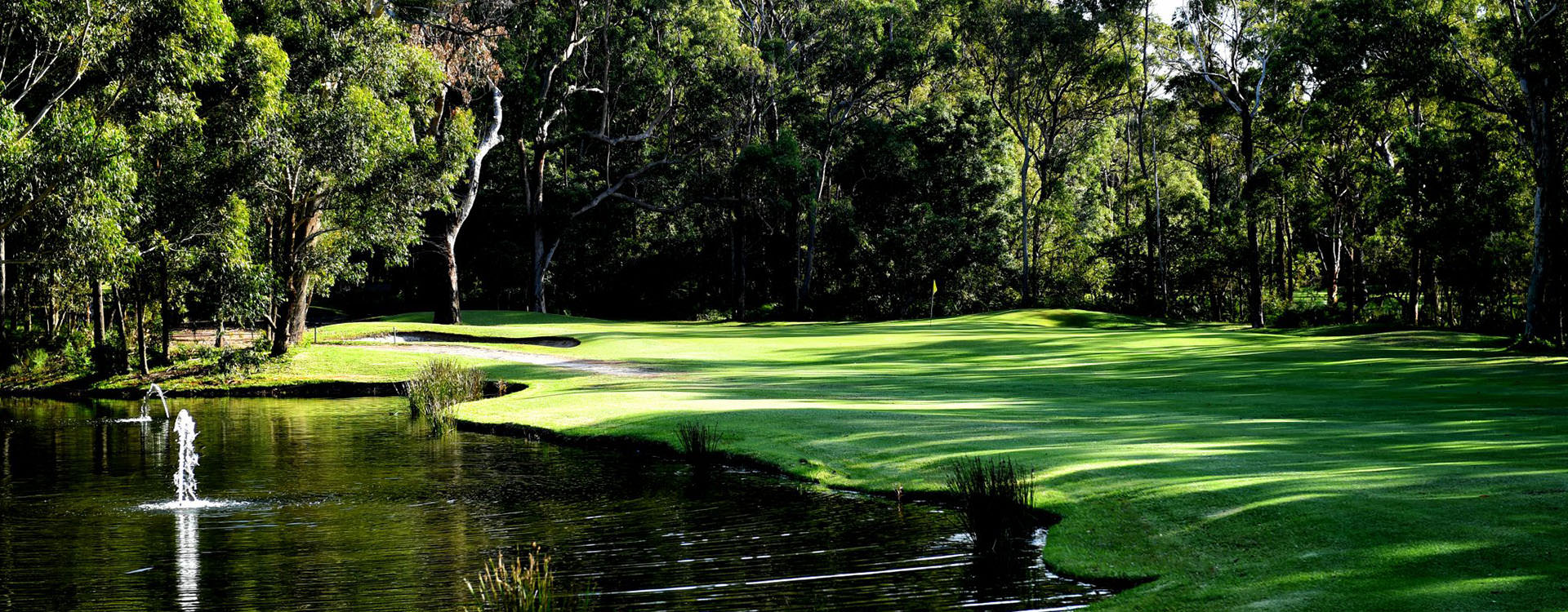 Nelson Bay golf course