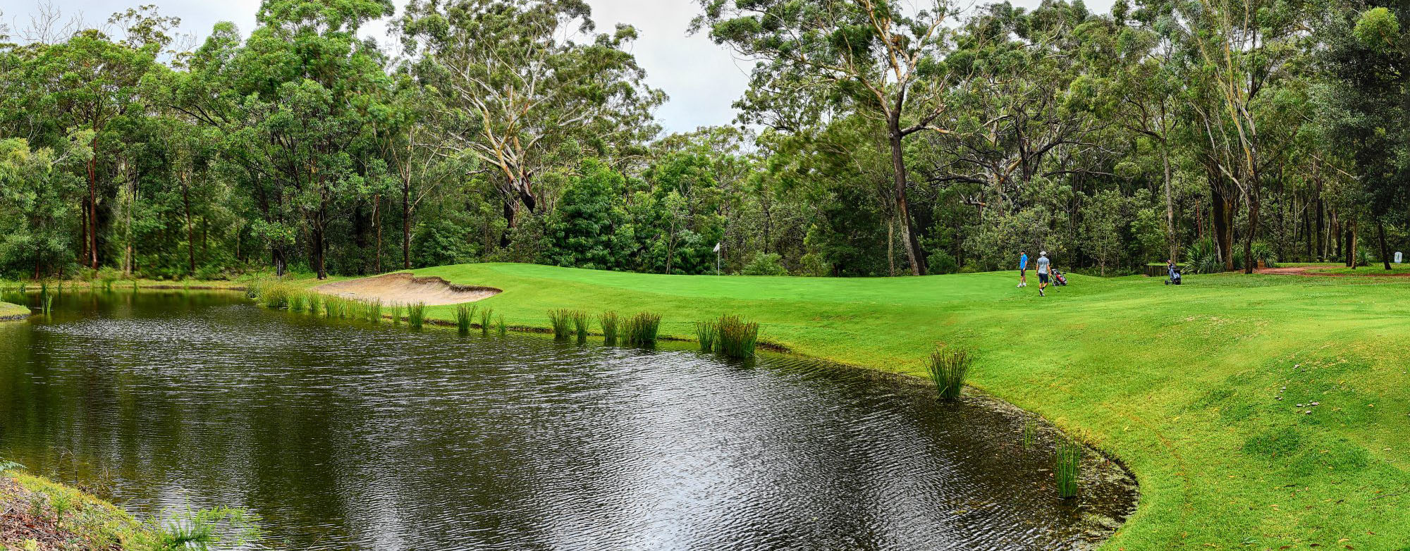 Golf  Nelson Bay Golf Club