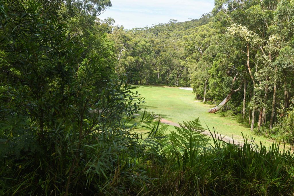 golf field
